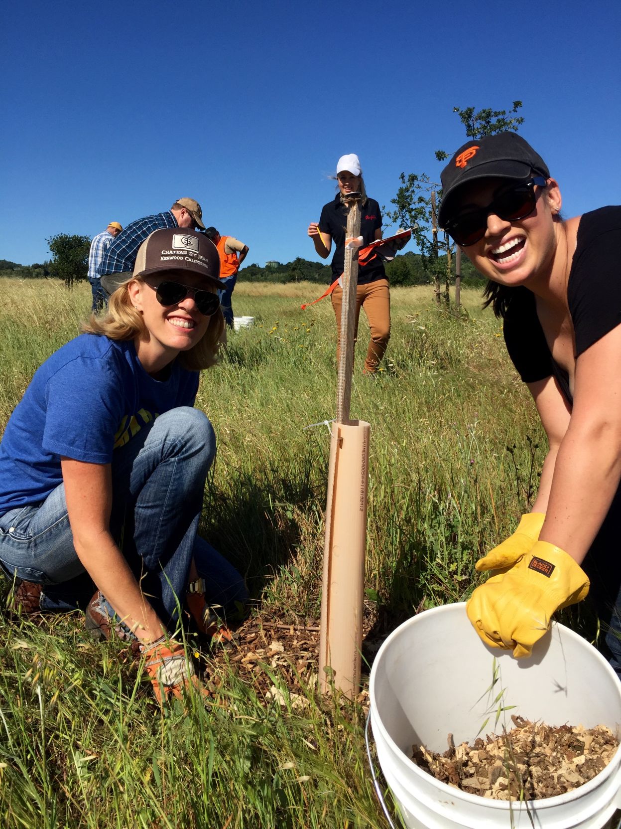 Volunteers mulching